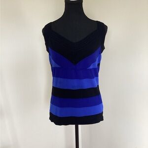 Melanie Lyne Sleeveless Black and Blue Striped Top